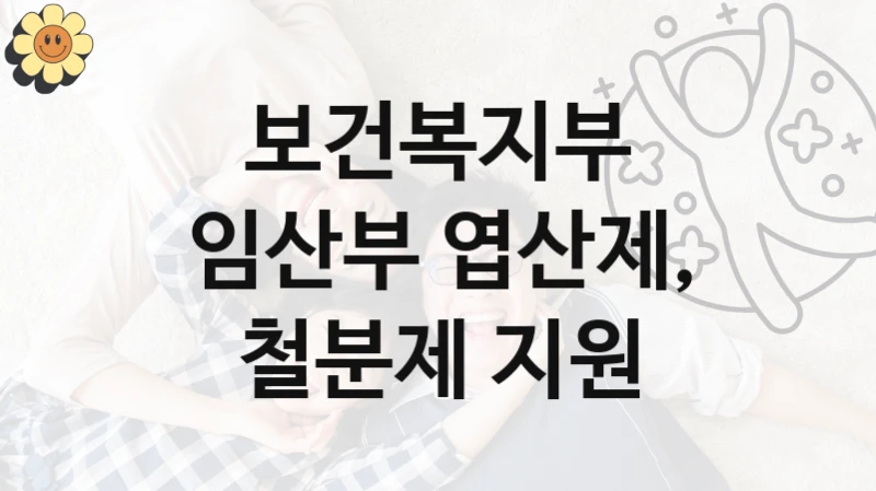 보건복지부
임산부 엽산제, 철분제 지원