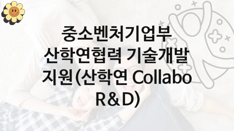 중소벤처기업부
산학연협력 기술개발 지원(산학연 Collabo R&D)