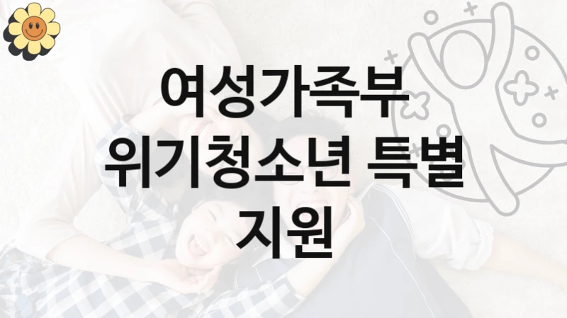 위기청소년 특별 지원 신청 가이드 – 여성가족부 복지 지원 혜택 정리