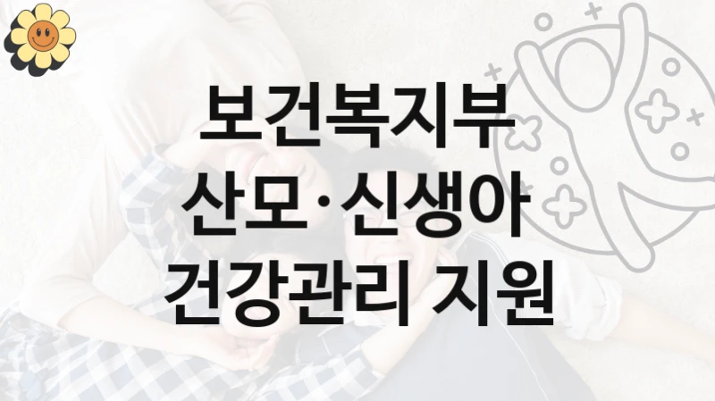 보건복지부, 산모·신생아 건강관리 지원 지원 정책정리, 신청 구비 서류와 일정